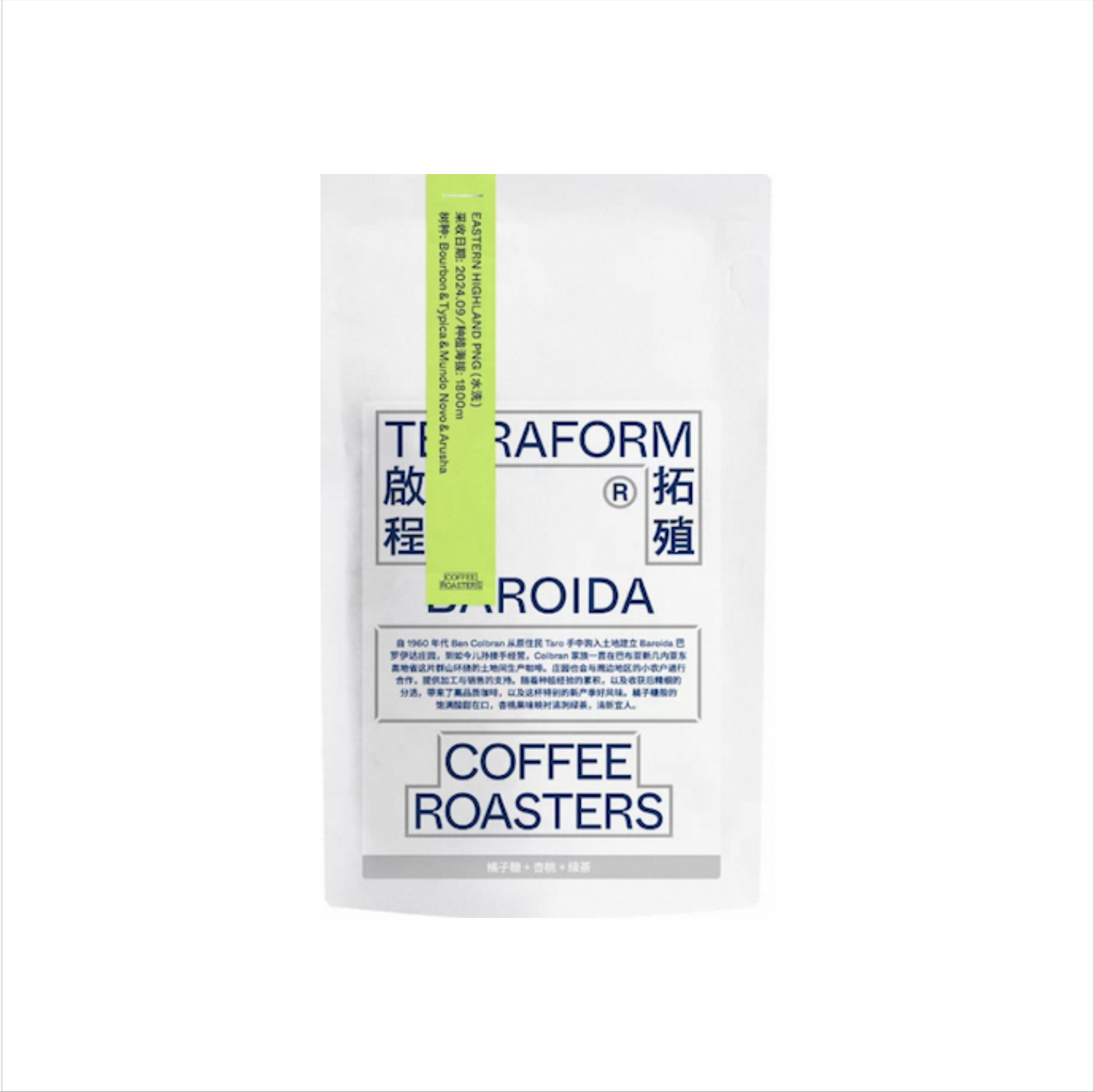 TERRAFORM BAROIDA WASHED 100g