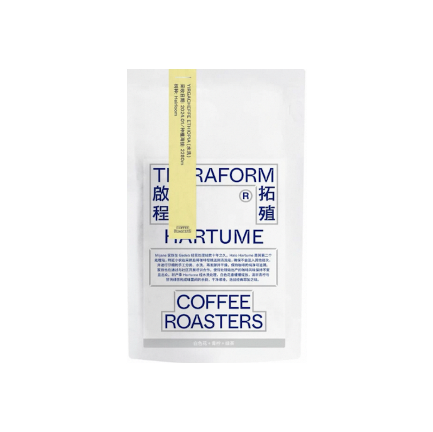 TERRAFORM HARTUME WASHED 100g