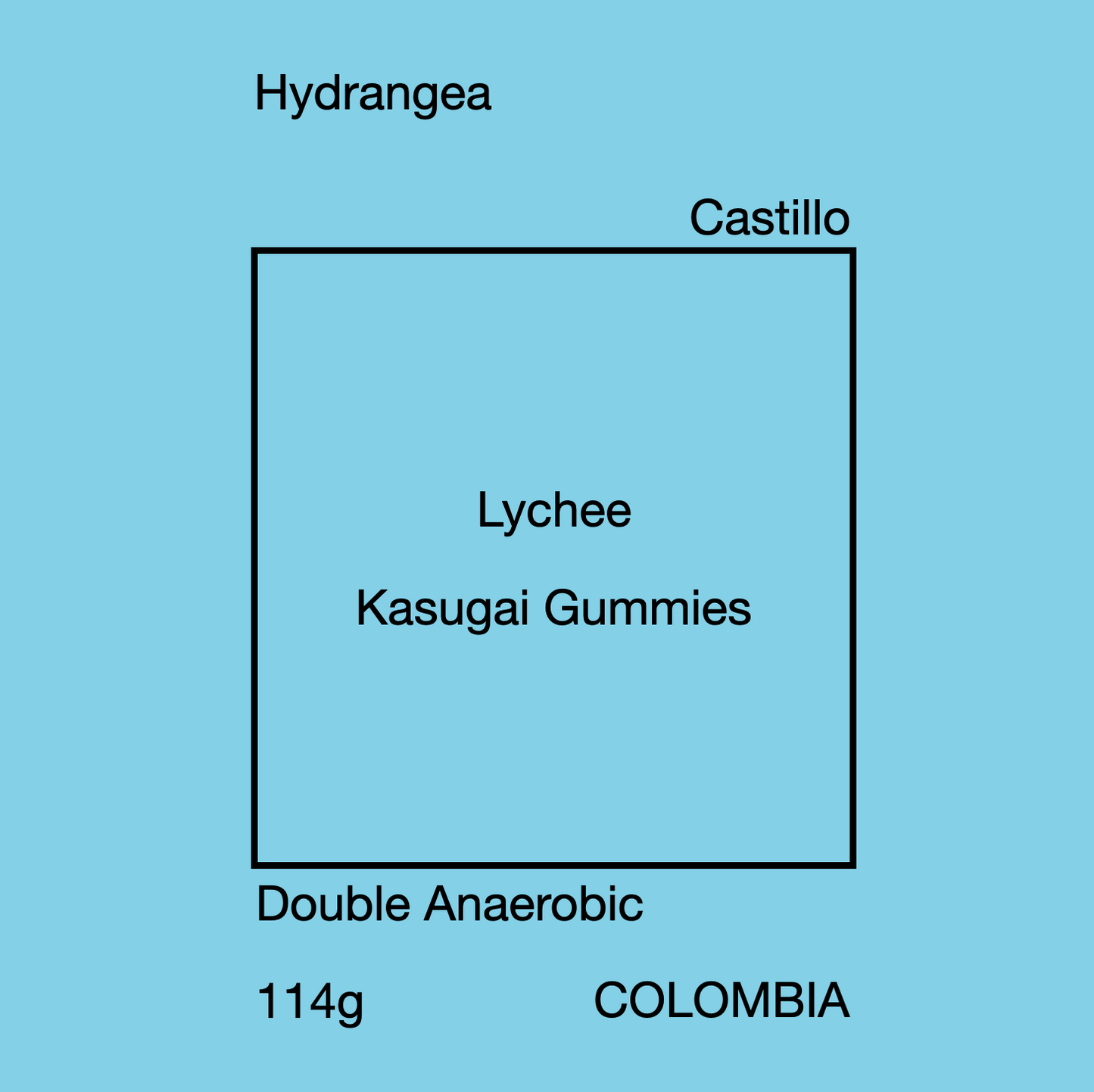 HYDRANGEA CASTILLO 114g