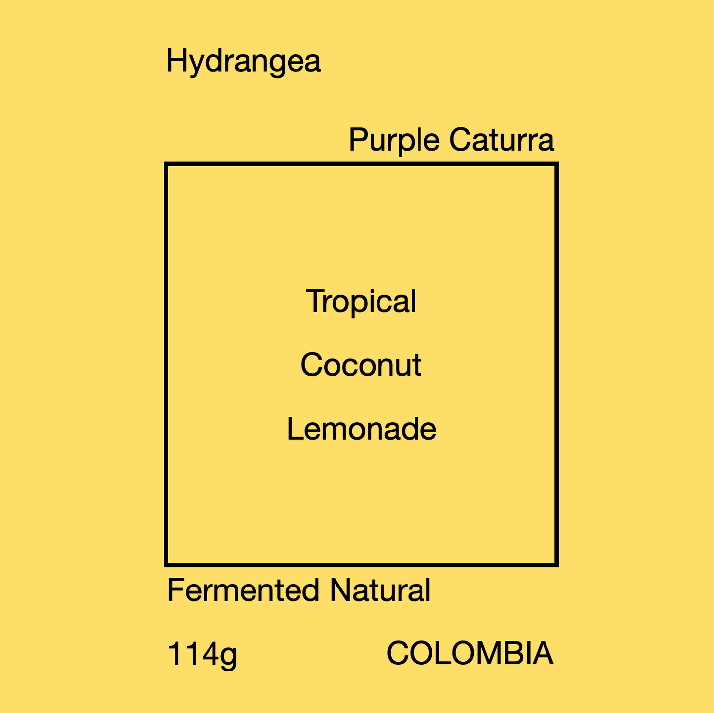 HYDRANGEA PURPLE CATURRA 114g