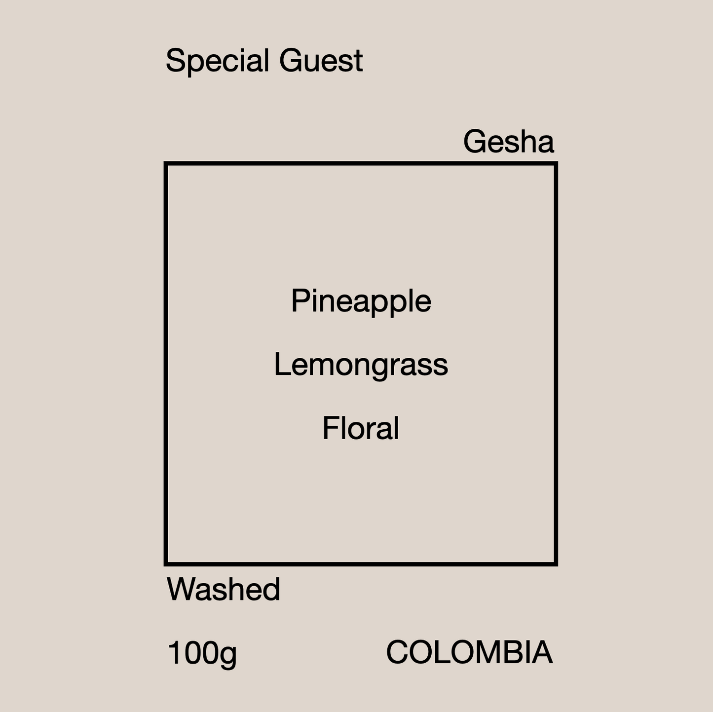 SPECIAL GUEST GESHA 100g