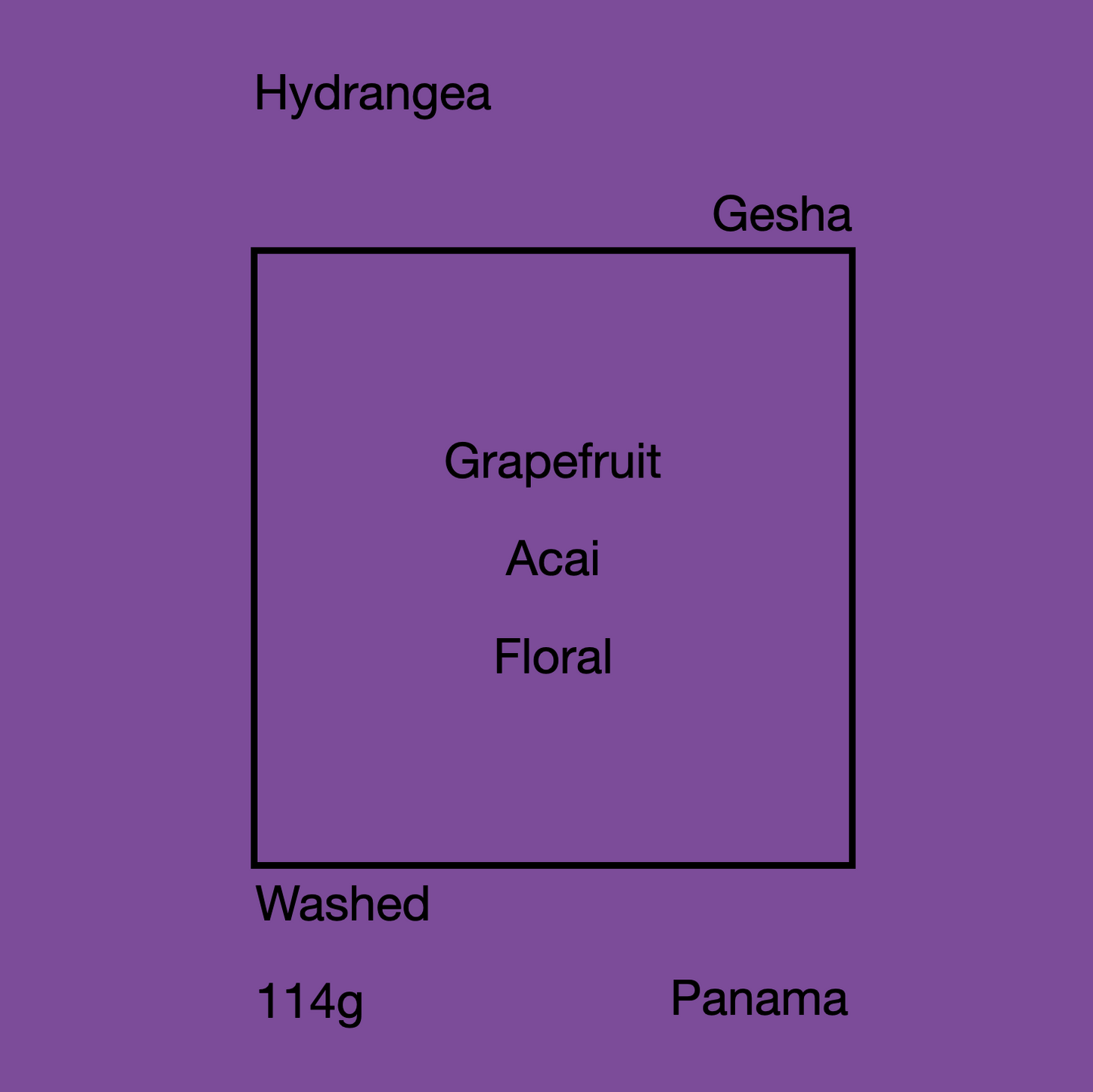 HYDRANGEA GESHA 114g