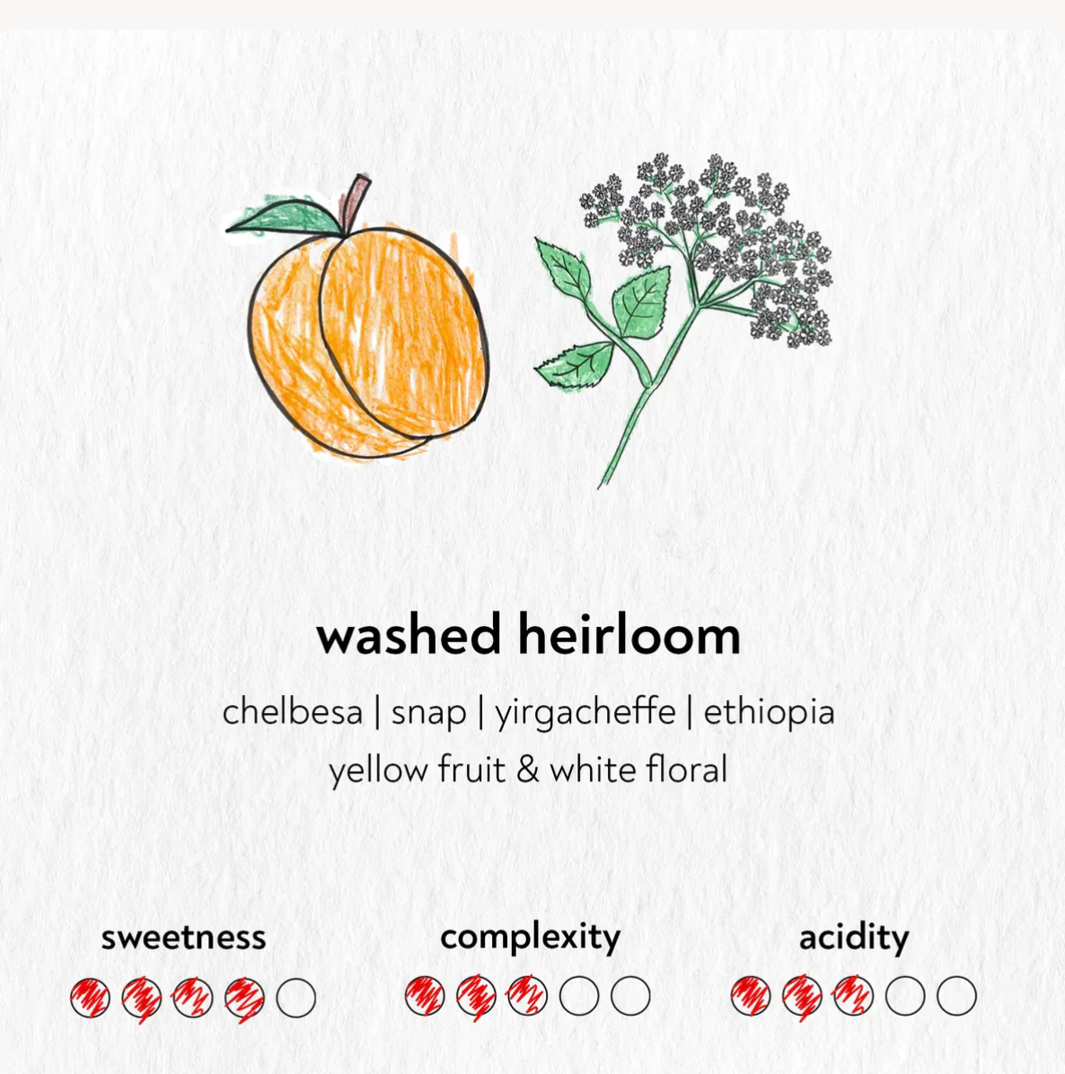 SANDBOX COFFEE ROASTERS - From Berlin