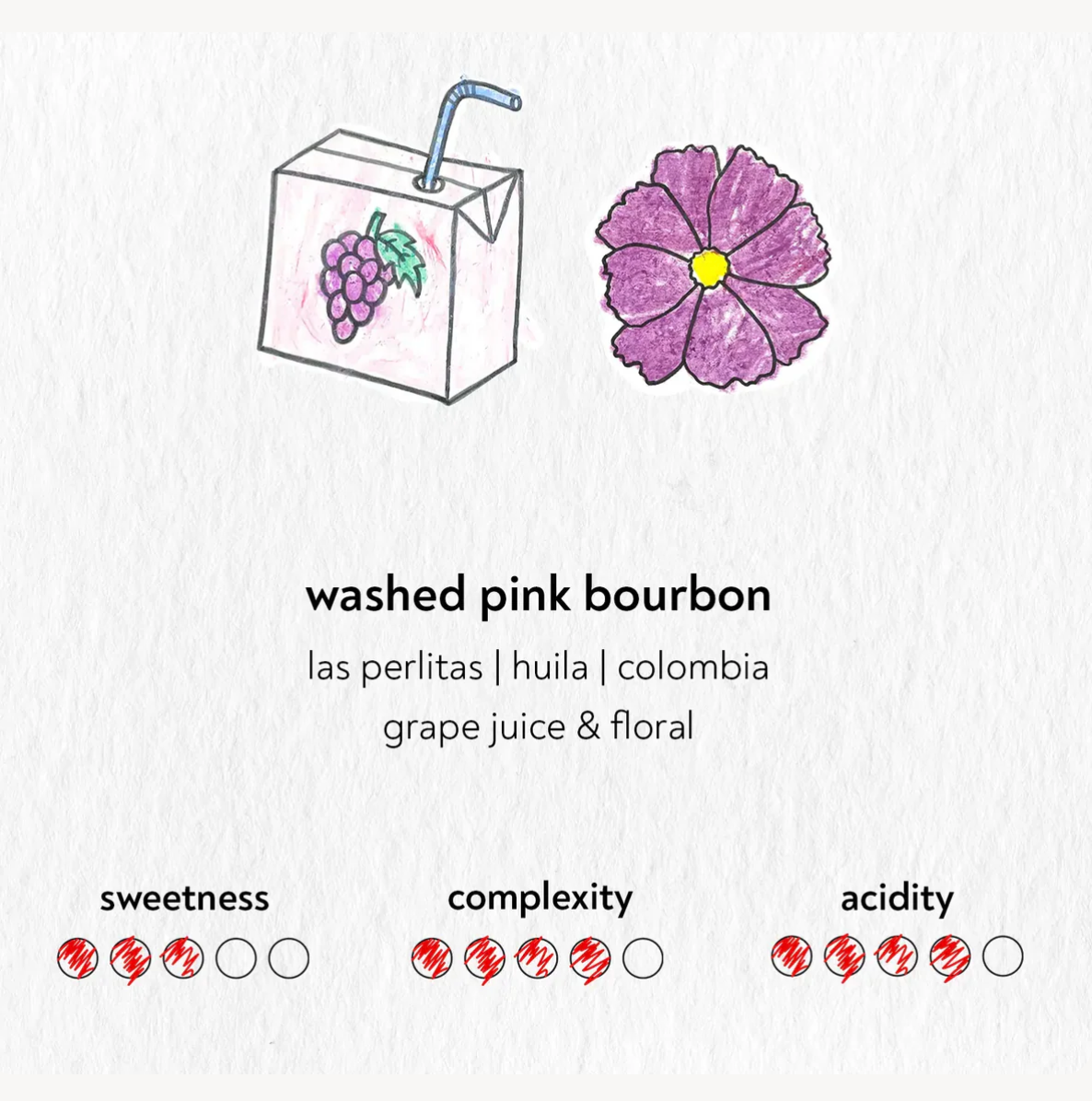 SANDBOX COFFEE ROASTERS - From Berlin