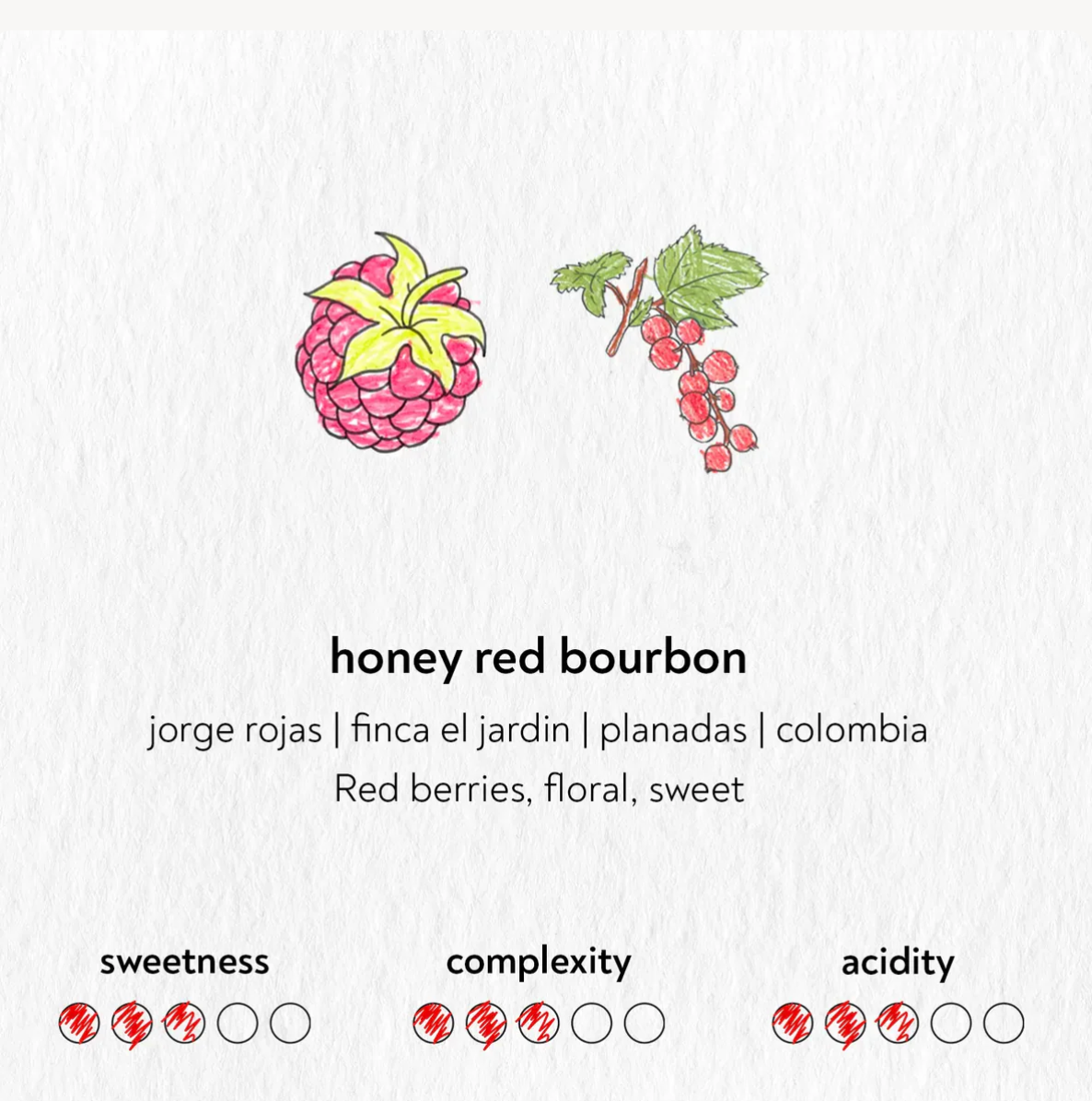 SANDBOX COFFEE ROASTERS - From Berlin