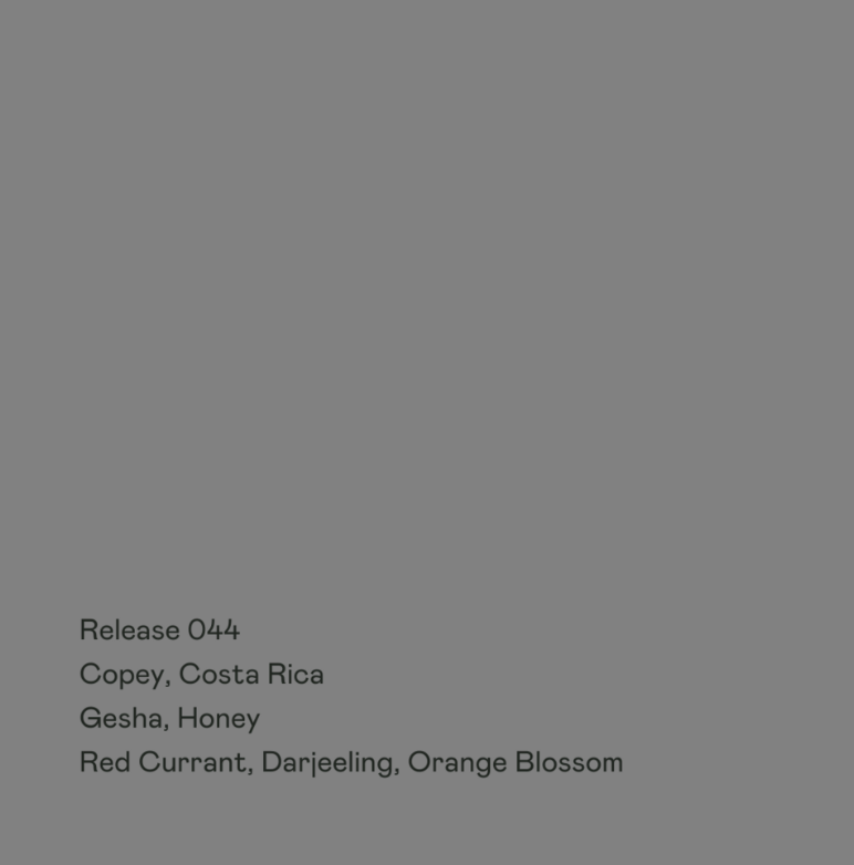 Special Guest Coffee Micro-lots 100g