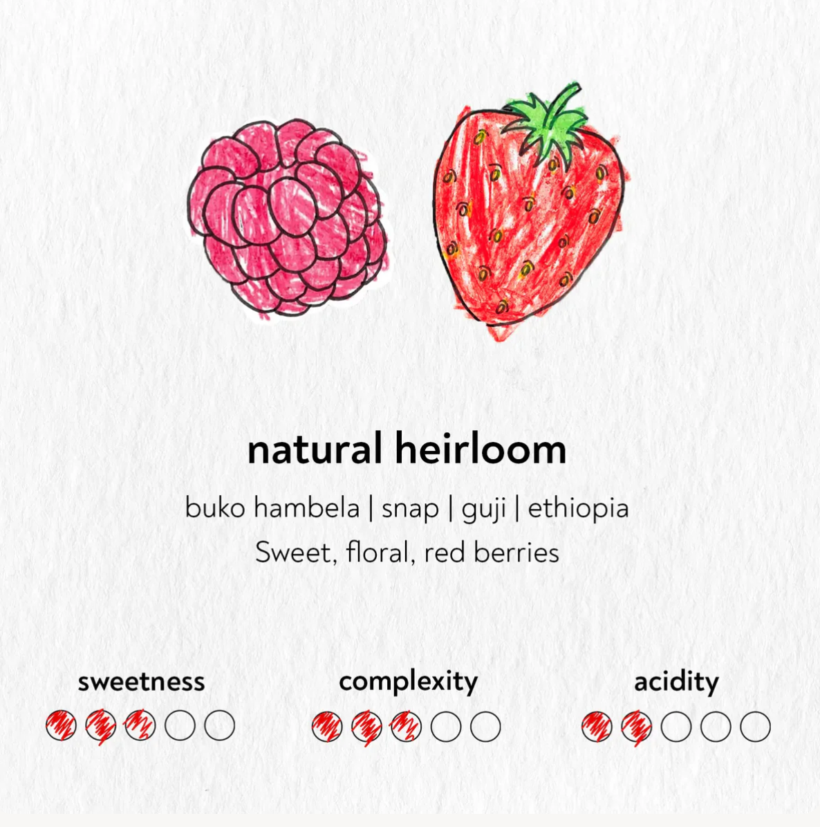 SANDBOX COFFEE ROASTERS - From Berlin